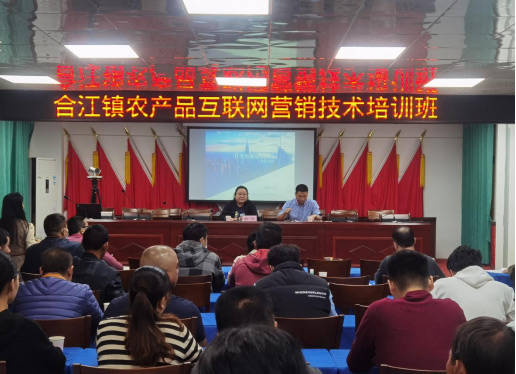 化州市合江鎮舉辦農產品互聯網銷售與信息系統集成服務培訓班